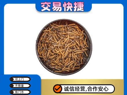 清远高价回收散虫草